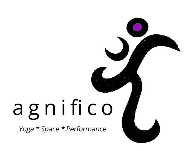 aginfico_logo